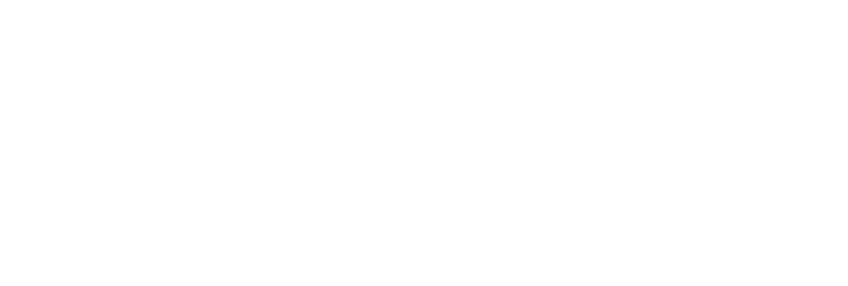 st-logo_KO-white-1